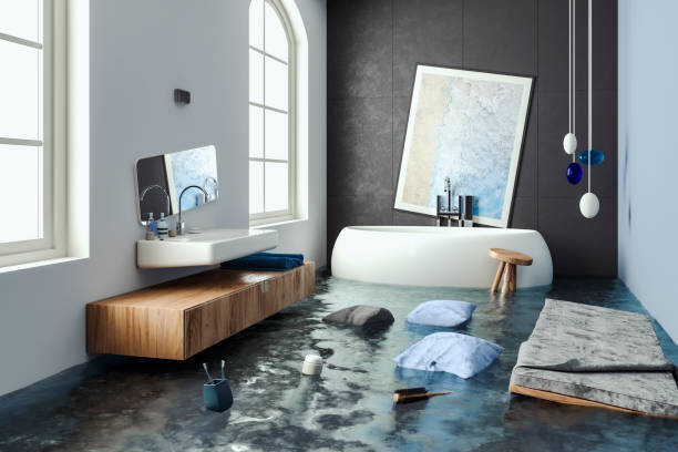 Best Water damage cleanup near me  in Svis, IL