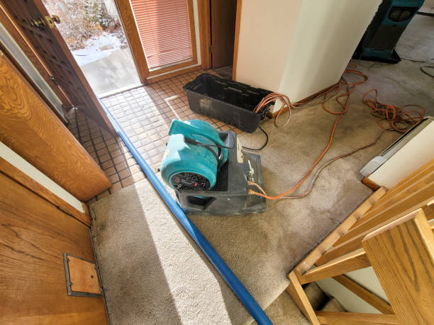  Svis, IL Water damage restoration Pros
