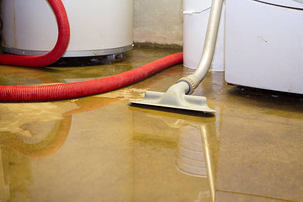 Best Water damage repair service  in Svis, IL