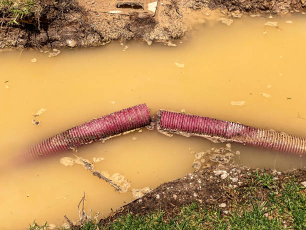 Best 24-hour water damage restoration  in Svis, IL